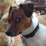 Spuds "Hold My Beer" MacKenzie Logo