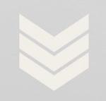 Orange-Crush#70 Logo