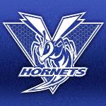 Vinita Hornets (Vinita, Ok) Logo