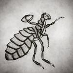 Flicker of Fleas Logo