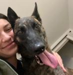 Kaycee’s boyfriend’s girlfriend Logo