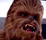 The Dissatisfied Wookies Logo