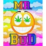 Don't forget about mrbud! Logo