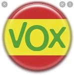 VOX Logo