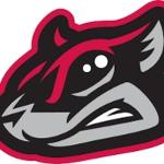 Flying Squirrels Logo