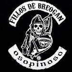 #4 Fillos de Breogan Logo