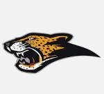 Brazucas's Team Logo