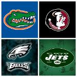 GatorSemin EaglesJets Logo