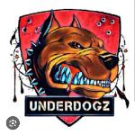 UnderDogz 305 Logo