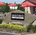 Dallas MetroStars Logo