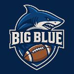 Big blue💙 Logo