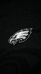 Fly Eagles Fly Logo