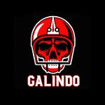 Galindo Raiders Logo