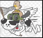 The BirdDog Allstars Logo