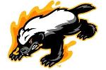 Pucela Honey Badgers Logo