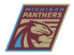Michigan Panthers Logo