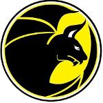 Segorbe Firebats Logo