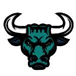 Salamanca Toros Logo