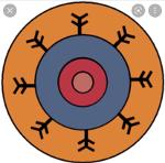 Legio VII Gemina Logo