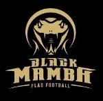 MAMBA Mentality Logo