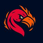 Flamin' Flamingos Logo