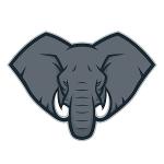 Elephants Football Logo