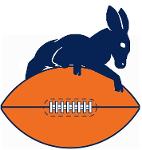 Chicago Wonky Donkeys Logo