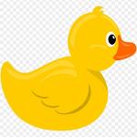 Rubber Ducks Logo