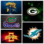 Kentucky CyGators of Miami Bay Logo