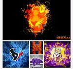 LSU, Kansas State, Illinois, Bengals , Texans Logo