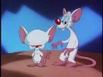 Pinky and The Brains Logo