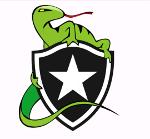 Botafogo Raides Logo