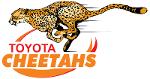 Toyota Cheetahs Logo