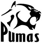 Airlink Pumas Logo