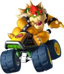 Bowser Logo