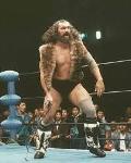 BRUISER BRODY Logo