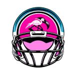 The Flamingos Logo