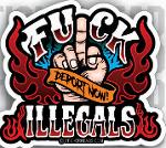 ILL EAGLES ON ICE Logo