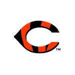 WhoDey N The Blowfish Logo