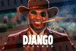 Django Achaned Logo