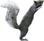 Gonads and Strife Logo