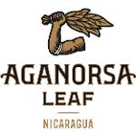 Aganorsa Acolytes Logo