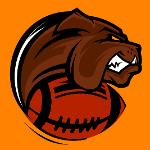 Touchbrowns Logo