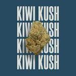 KIWI KUSH Logo