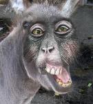 MostPenalized's Team Logo