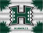 Hawaii Rainbow Warriors Logo