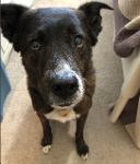 DougPawderson's Team Logo