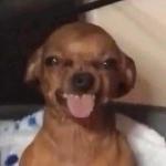 Take Mahomes Country Road Logo