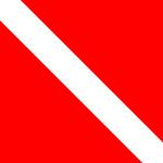 Cleveland Tigers Logo