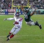 Fight, CGalls, Fight! Logo